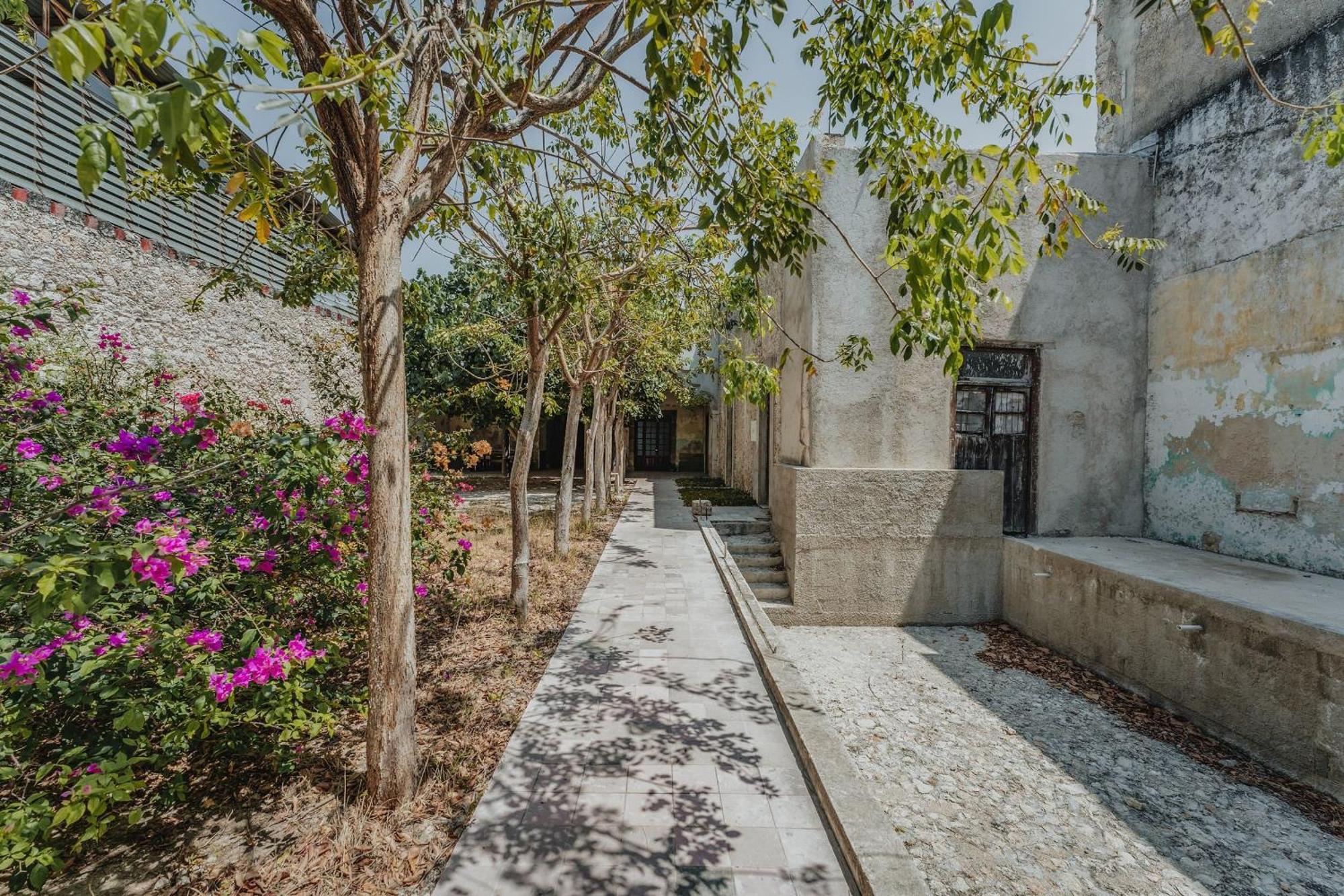 Amplia Habitacion Privada Centro Mérida Exteriér fotografie